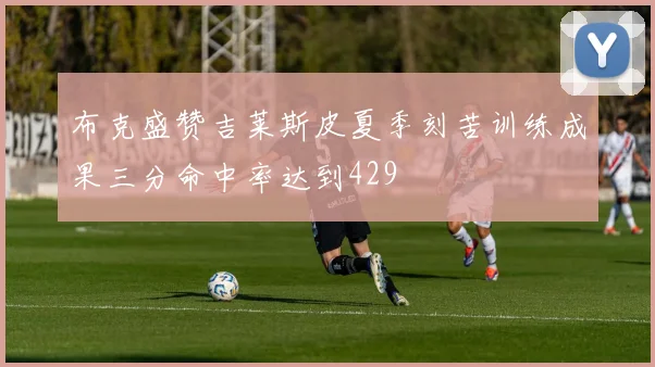 布克盛赞吉莱斯皮夏季刻苦训练成果三分命中率达到429