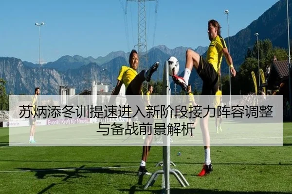 苏炳添冬训提速进入新阶段接力阵容调整与备战前景解析（hth）